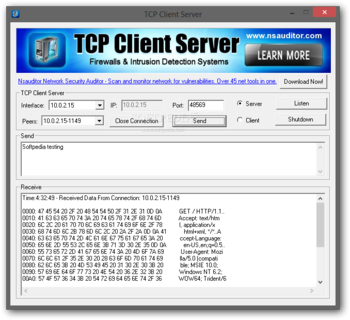 TCP Client Server screenshot