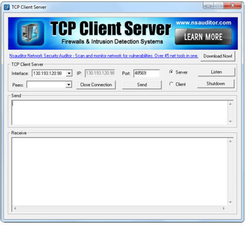 Tcp Client Server screenshot