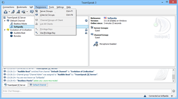 TeamSpeak Client  screenshot 7