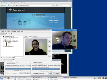 TeamTalk 4 SDK Professional Edition  screenshot