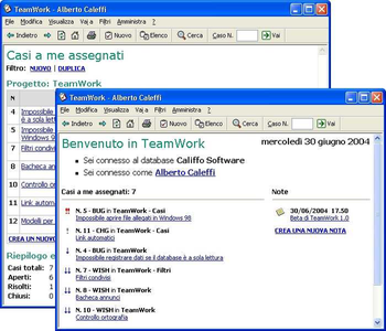 TeamWork screenshot 2
