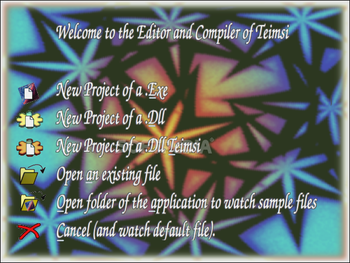 Teimsi Editor and Compiler screenshot 2