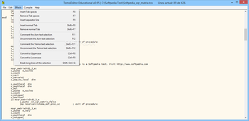 Teimsi Editor and Compiler screenshot 5