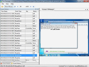 Test Evidence Suite screenshot 2