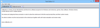 Text Editor screenshot