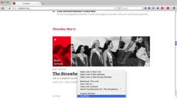 TextFilter for Firefox screenshot 2