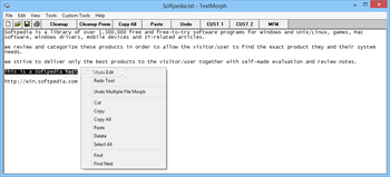 TextMorph screenshot