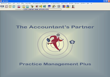 The Accountants Partner screenshot 2