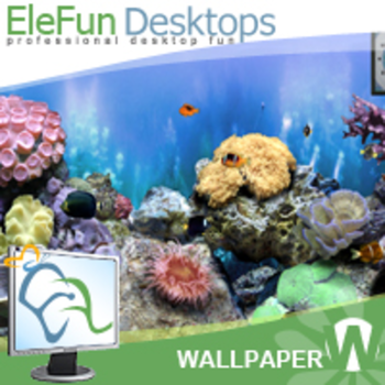 The Big Corals - Animated 3D Wallpaper screenshot