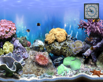 The Big Corals - Animated Screensaver screenshot