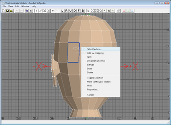 The LionSnake Modeler screenshot 2