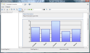 The Report Viewer screenshot 2