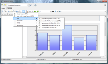 The Report Viewer screenshot 3