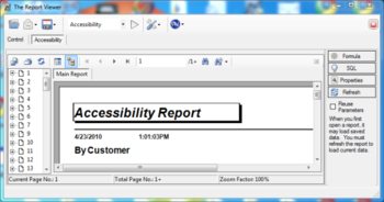 The Report Viewer screenshot