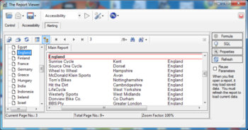 The Report Viewer screenshot 2