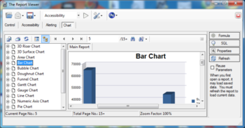 The Report Viewer screenshot 3