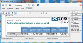 The Report Viewer screenshot 4
