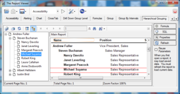 The Report Viewer screenshot 6