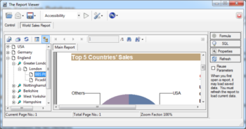 The Report Viewer screenshot 7
