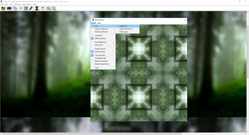 The Silicon Mirror and Moe's Image Viewer screenshot 6