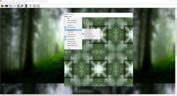 The Silicon Mirror and Moe's Image Viewer screenshot 7