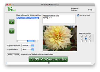 TheBatchWatermarks screenshot