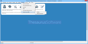 Thesaurus Payroll Manager screenshot 9