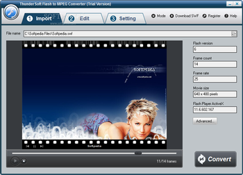 ThunderSoft Flash to MPEG Converter screenshot