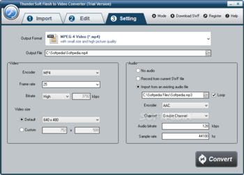 ThunderSoft Flash to Video Converter screenshot 3