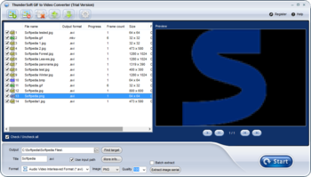 ThunderSoft GIF to Video Converter screenshot