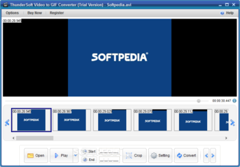 ThunderSoft Video to GIF Converter screenshot