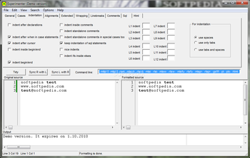 Tidycode T-Sql Formatter screenshot 4