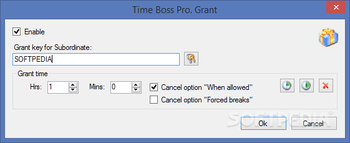 Time Boss PRO screenshot 12