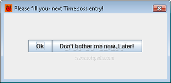 Timeboss screenshot