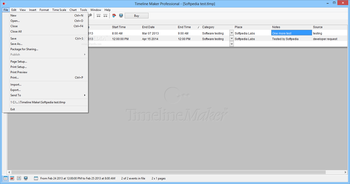 Timeline Maker Professional screenshot 4