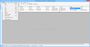 Timeline Maker Professional screenshot 5