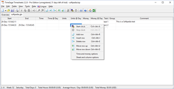 TimeSage Timesheets Pro Edition screenshot