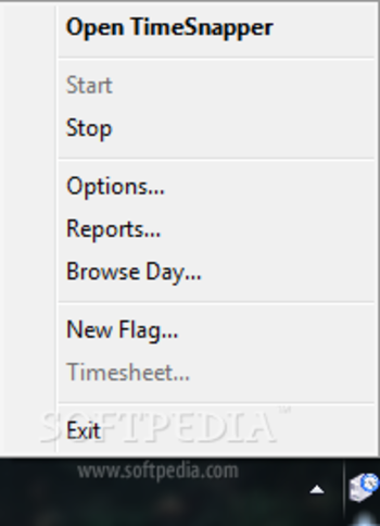 TimeSnapper Professional screenshot