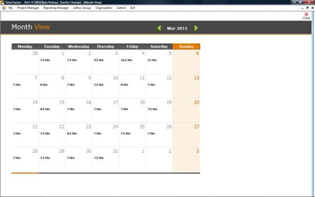 TimeTracker Professional 2014 screenshot 2