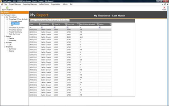 TimeTracker Professional 2014 screenshot 3