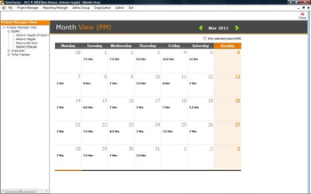 TimeTracker Professional 2014 screenshot 8