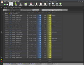 Tinove Timesheet screenshot 2