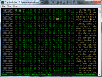 Tiny Hex Editor screenshot