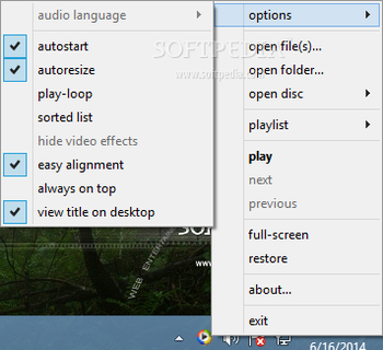 tiny windows media player screenshot 2