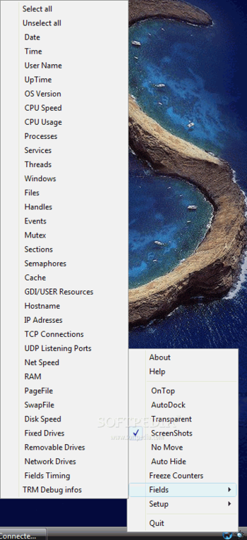 TinyResMeter screenshot 2
