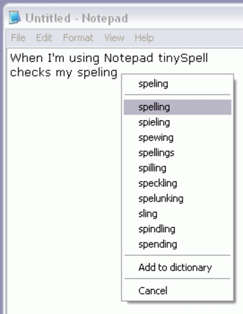 TinySpell Portable screenshot