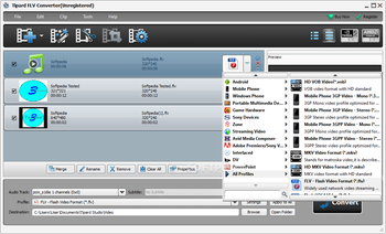 Tipard FLV Converter screenshot