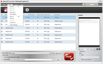Tipard PDF Converter Platinum screenshot 2