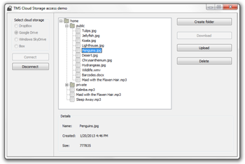 TMS Cloud Pack for C++Builder XE3 screenshot