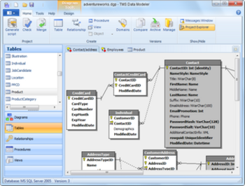 TMS Data Modeler screenshot